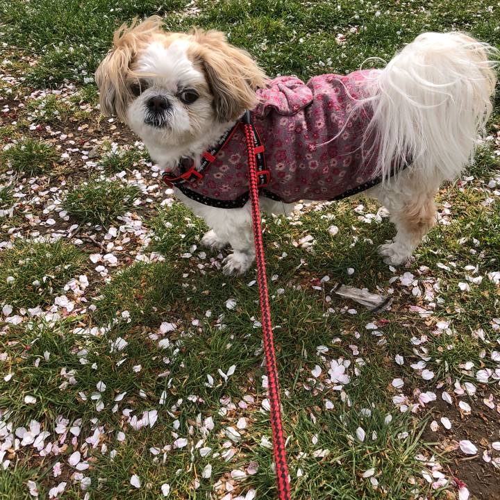 1c4d1ae4 9466 4165 b128 538d01660a35 1555278378358