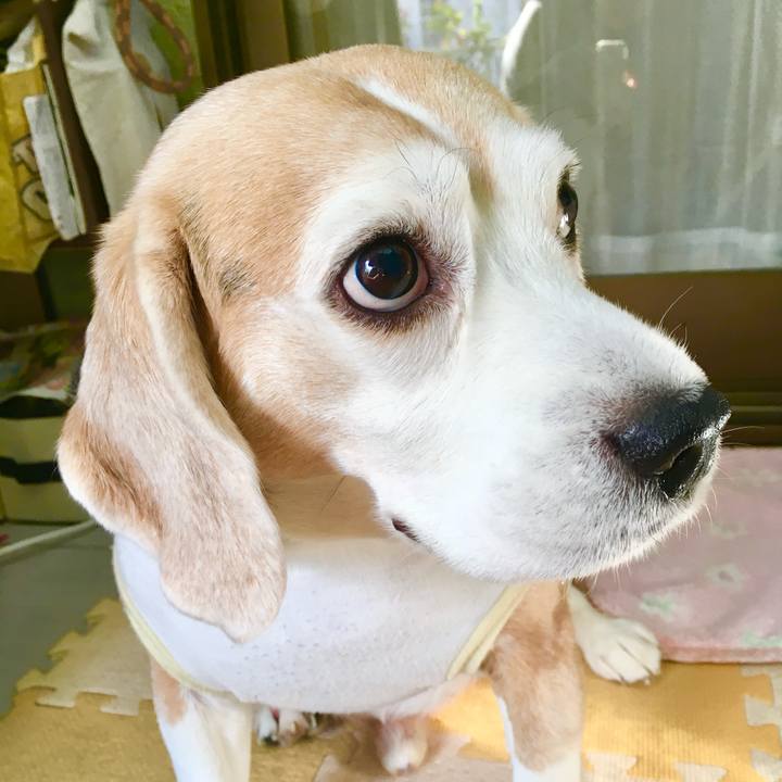 1c4d664b 875d 4c0f 851f dd3a2fdcb40a 1773988243150