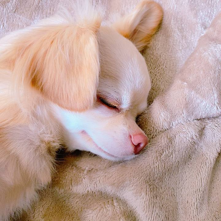 1c4dbf6b 2aac 46b0 ba52 cae8d2781b4e 1621992293607