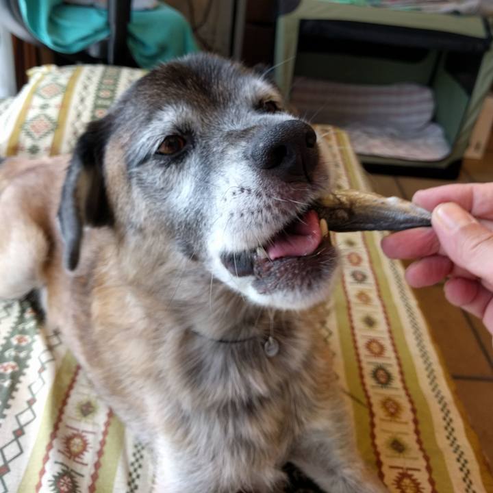 1c4df3e1 d70b 47e2 bb04 9eb9d3422f45 1536818233819