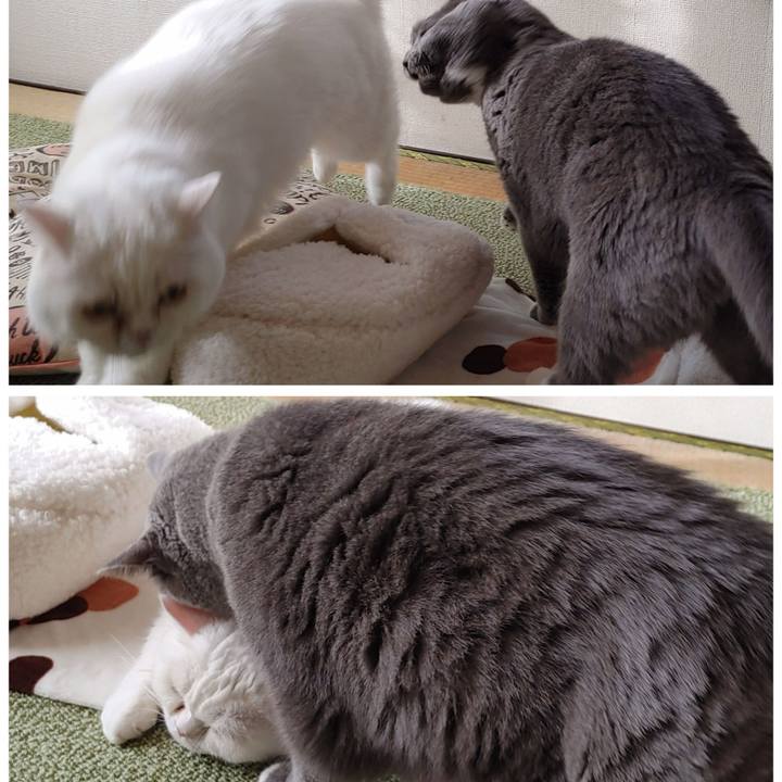 1c4e336e 997c 4a96 bac7 899b28f43e27 1635549718329