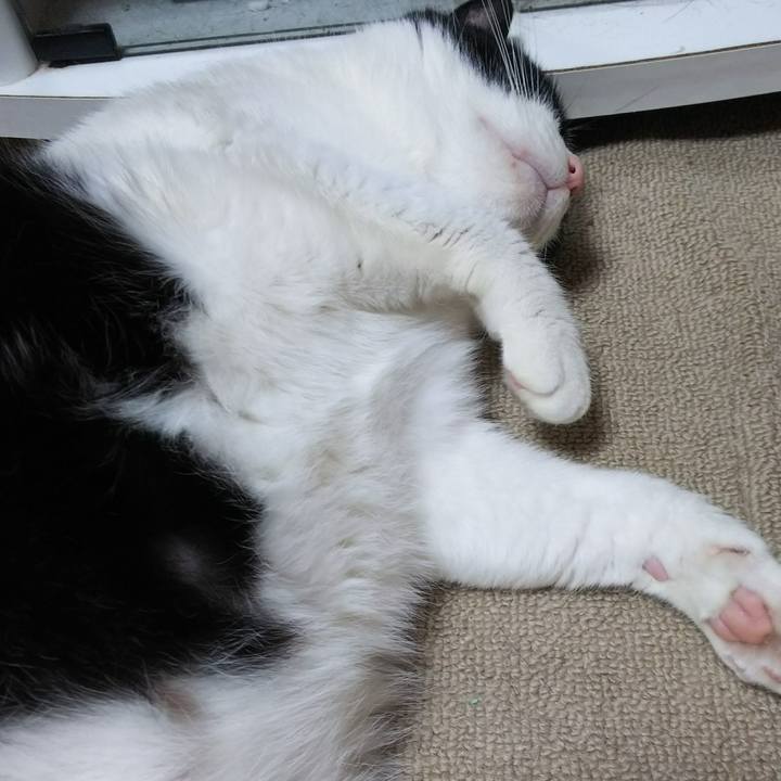 1c4e4ef3 ead6 44ef 9026 16e8efc374a0 1528025228934