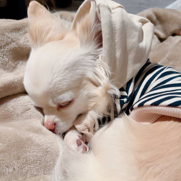 1c4e562b 6aff 47ac 9767 b97fcc986b75 1706100335829