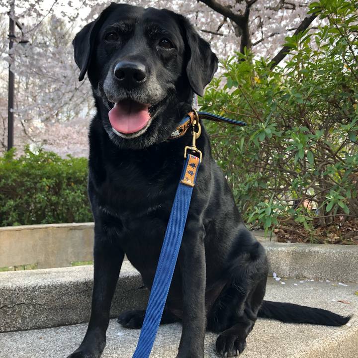 1c4e6dc3 a37d 4bf2 a39f 3915f70a4bef 1554029854671