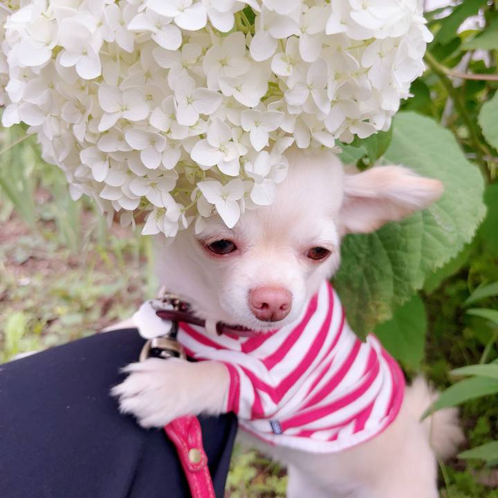 1c4e7d35 cde2 45ff 83d4 ebbe08617839 1686039452956