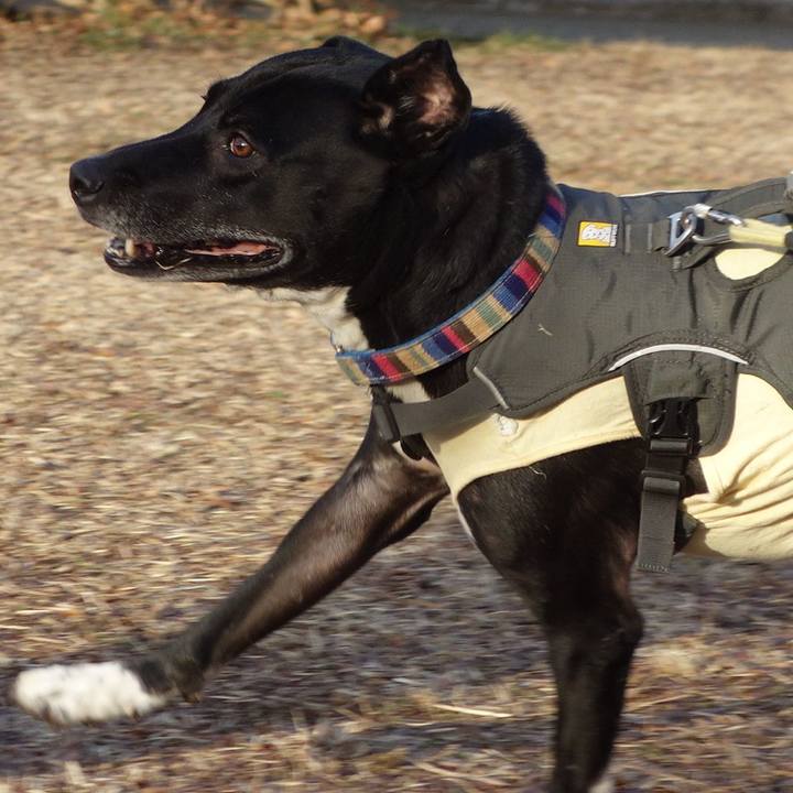 1c4ed0ab d188 43f2 8abf 97d79b0baa17 1643504973914