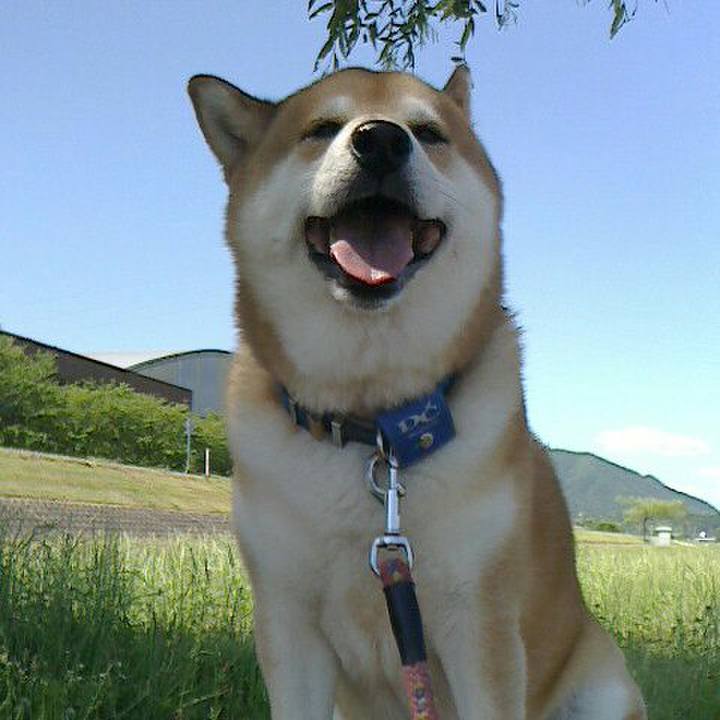 1c4ee65d a5ae 4ee9 abd8 26e638ed0292 1560678192853