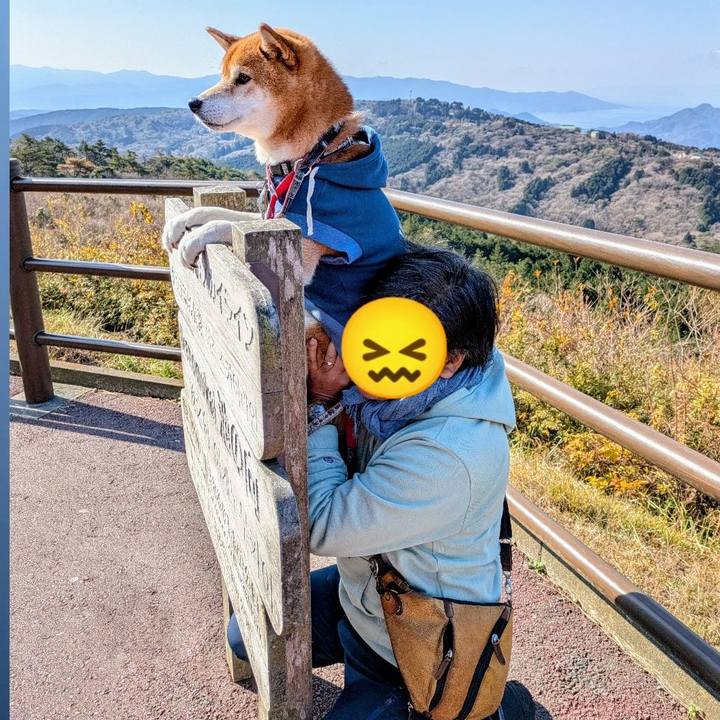 1c4efdf9 5cb3 40dd 9c75 c44ddc55c231 1766121549233