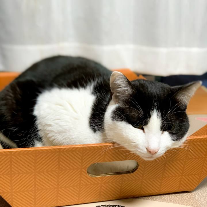 1c4f2016 f5b4 44c6 bb99 3540850fb7f7 1582768995248