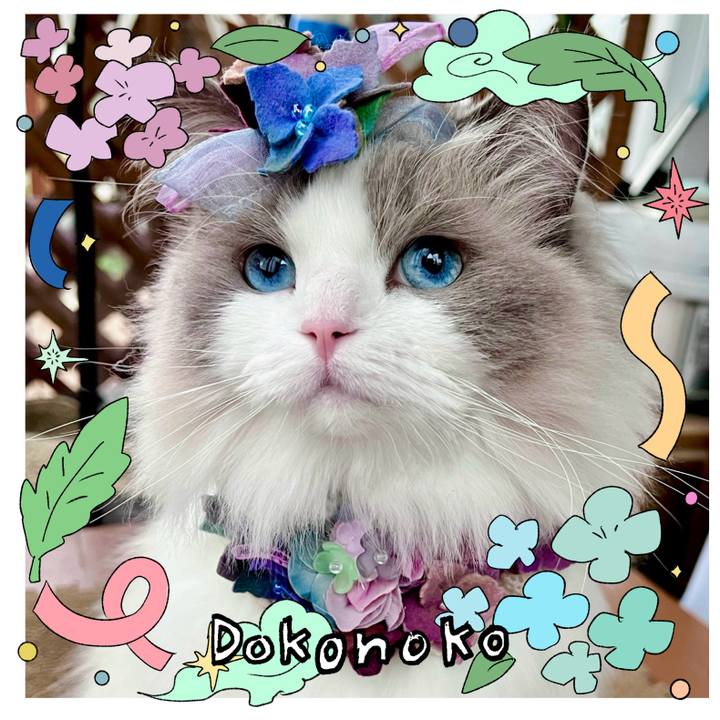 1c4f3769 8ebc 4daf 86bf c6eee58620d2 1717574535974