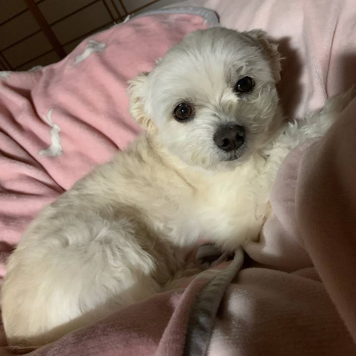 1c4f59a9 24dc 4809 bd28 440ee07fc5ff 1612349445611