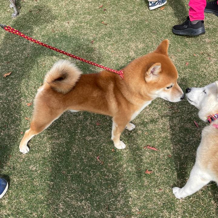 1c4f7504 fd1a 4c96 bd5f 706b5bfd8475 1668121452020