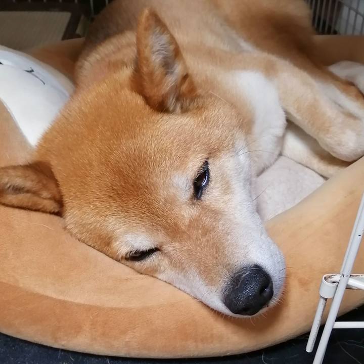 1c4f7b37 b7d2 4e8b 949b b5cae2329a72 1621953418331