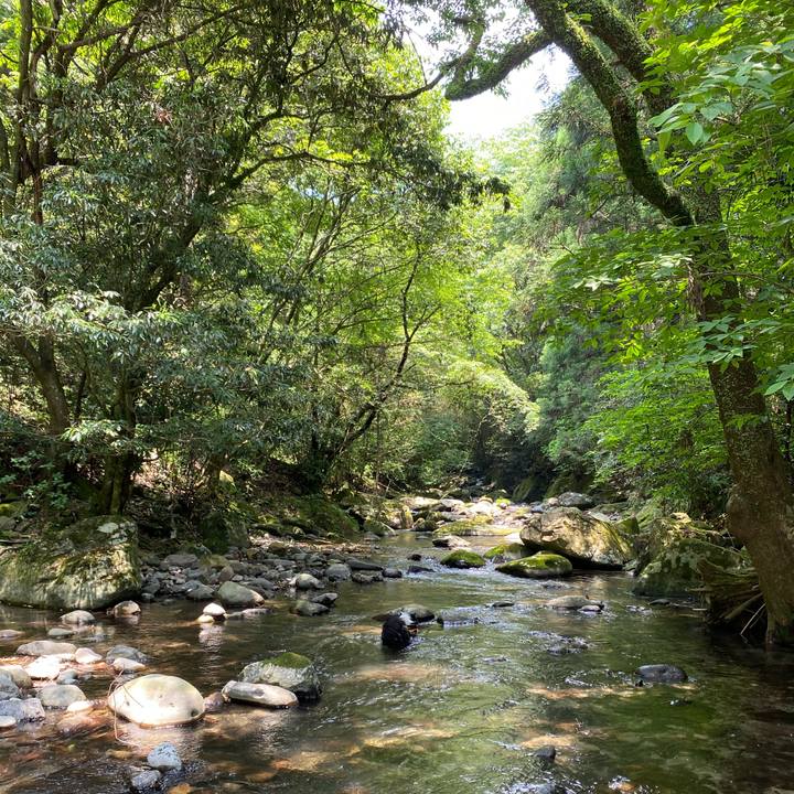 1c4f89c5 8083 4c78 8c70 3d5d5fefc7ab 1591594083498