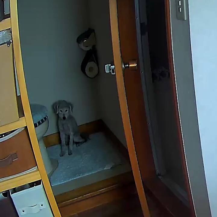 1c502f84 c6eb 42a5 9a4e e03111c9a734 1589257645424