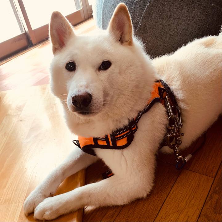 1c50576b 2f46 476e a8c0 eb265ee2a935 1638061843841