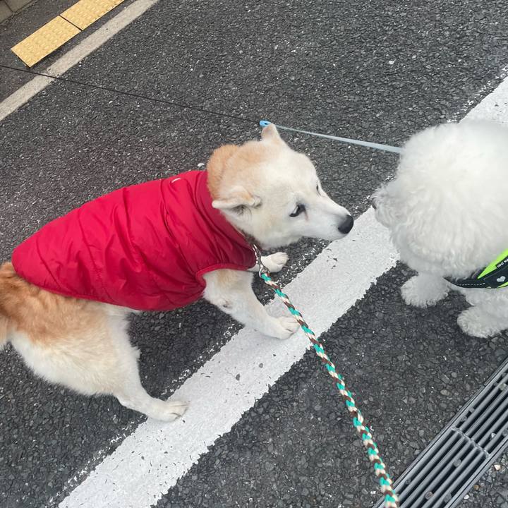 1c5065a3 114c 4f01 abc0 2b5b78bd00a6 1701336409388