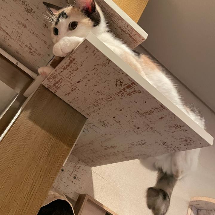 1c50edab e25e 4d89 8d68 c2baa0f46da3 1696085208466