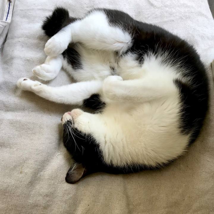 1c510846 1002 4a50 960d 0149b4545ebe 1537503291160