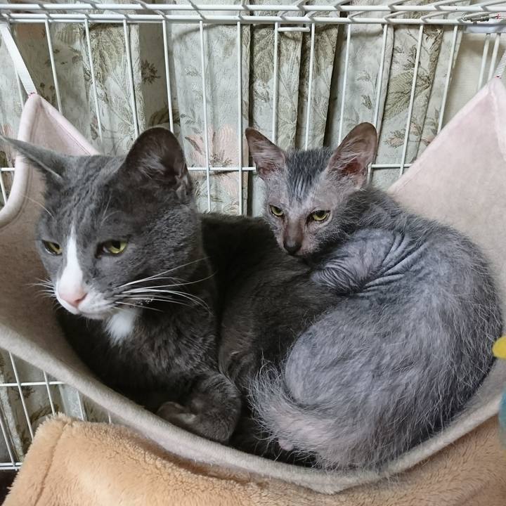 1c510d66 b7cc 41c3 9243 7450105db5bf 1515631149870