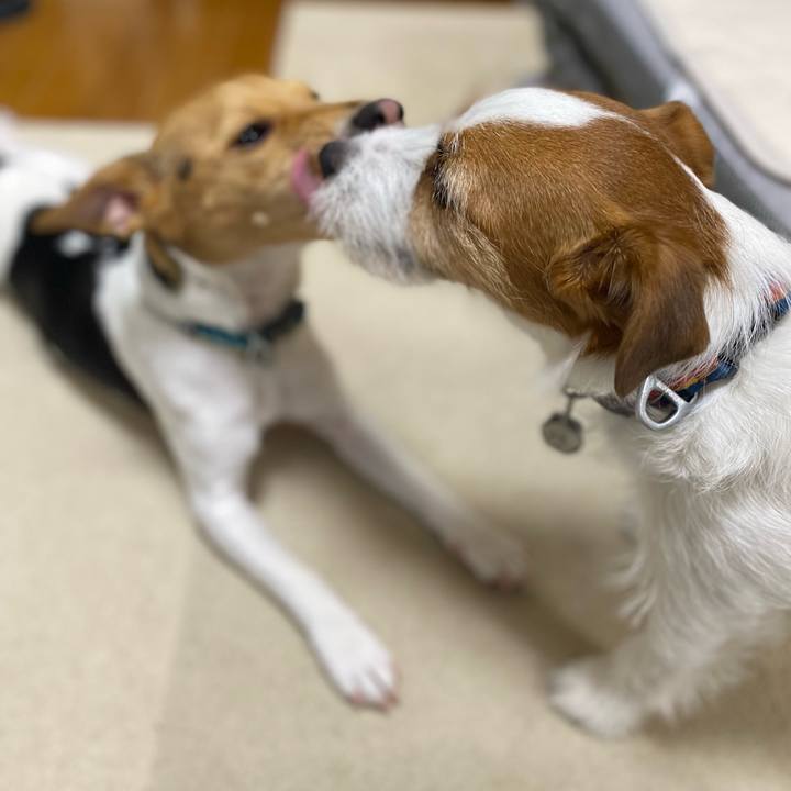 1c516ddb 2776 4a39 84af 4079619b6334 1772854821433