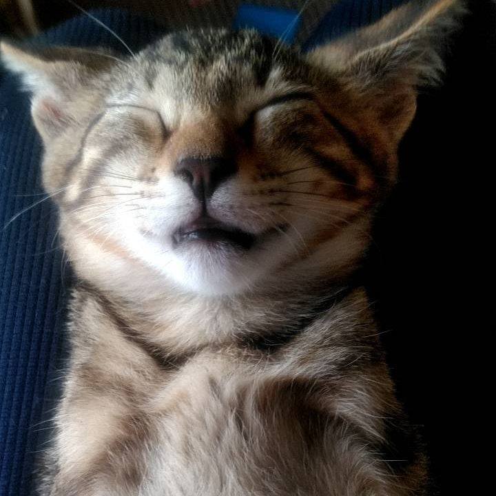 1c517fe5 f5df 4776 b536 7c9fc4a88293 1694267154590