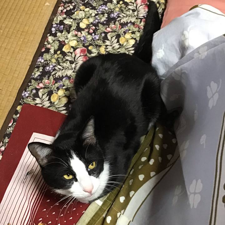 1c5184da 03e9 4b87 96e7 c164c30796fc 1679049343315