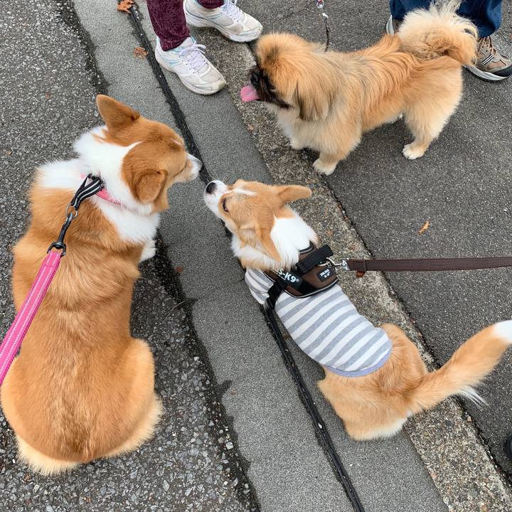 1c5185d0 7c04 4970 b152 d3aceff8d104 1570774977443