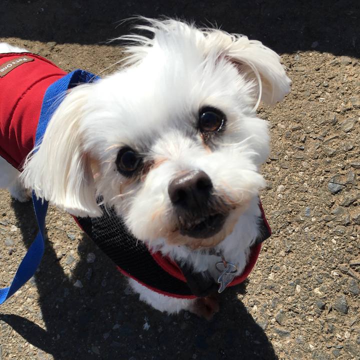 1c51979b 01f7 4848 baa0 845a56080ba4 1644989353844