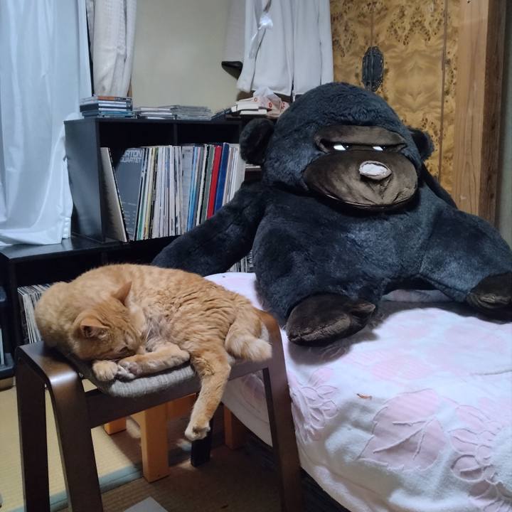 1c51a6c7 f436 42ae a77a 71ab1f5cbcc6 1687353638818