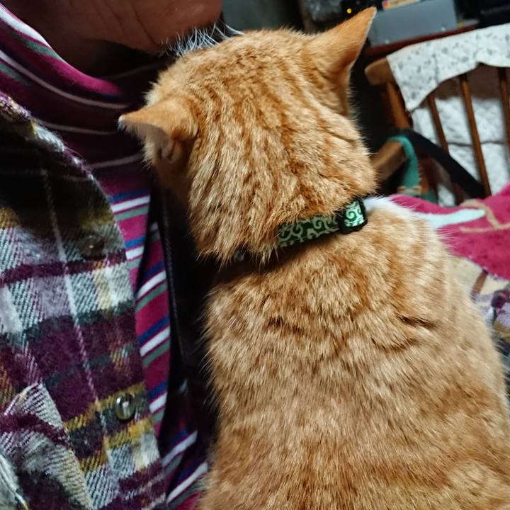 1c51af93 ffdf 47e1 abce d04e59e16816 1580414214808