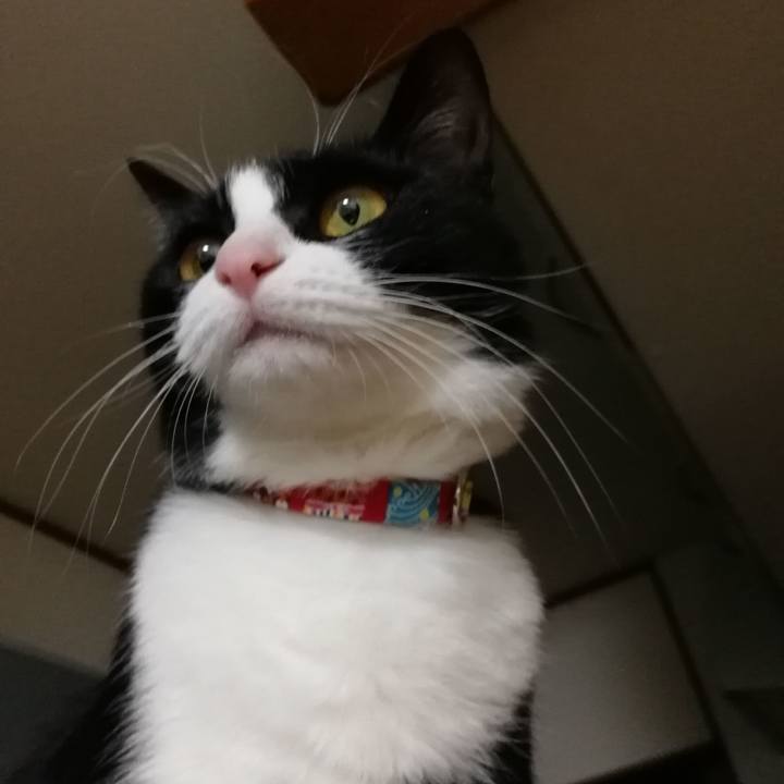 1c51cfc2 9fd7 454b b1b6 fde5ba404e67 1553124232219