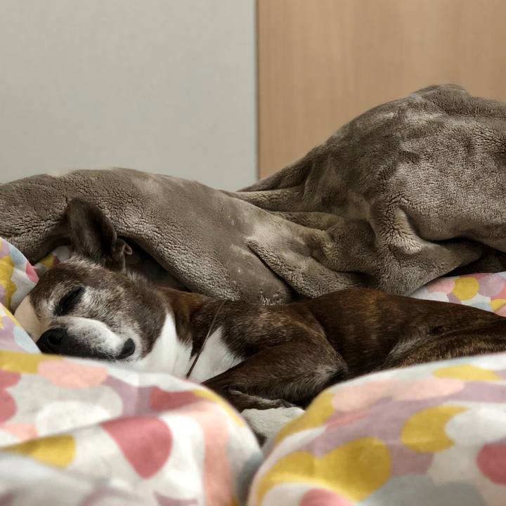 1c51df06 3045 4cdf 9837 cf64ebc51169 1524695166053