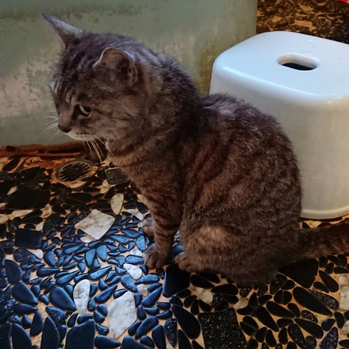 1c522fe7 8304 415e b4fe 0d582b4da659 1565380517704