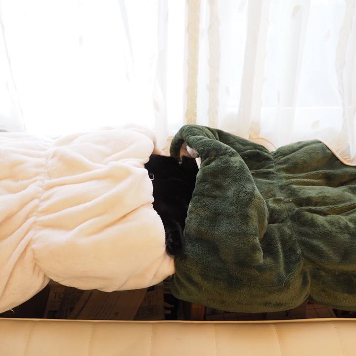 1c5255d5 2f33 4978 b14e 4e97078ee7e7 1553644395911