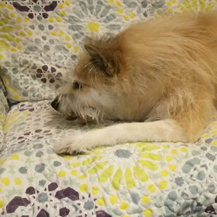 1c525c71 2e61 4260 bd18 53534392c3d3 1537446872542