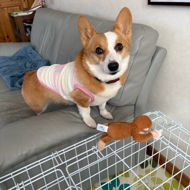 1c529376 d9cb 4651 8b2c 57c3c6845cb7 1768021729348