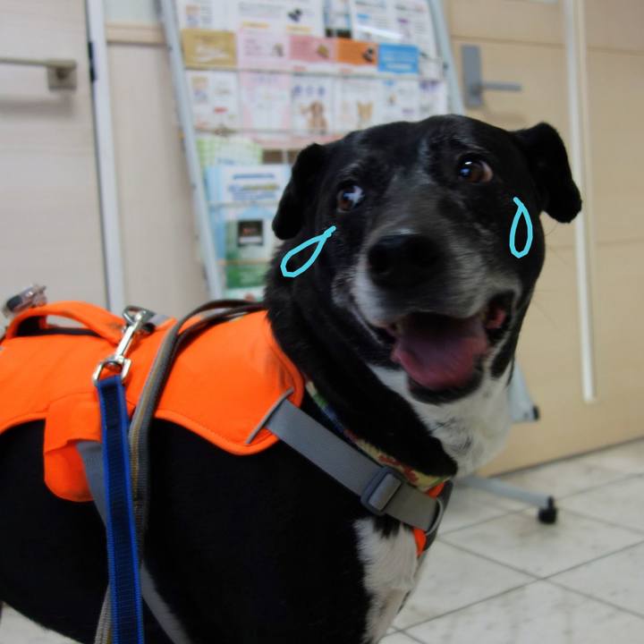 1c52a7e0 cff9 415b a9a4 b5c97cce86f0 1741950434691