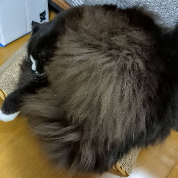 1c52aec0 127b 48e9 9866 c32663b5e93f 1670755366765