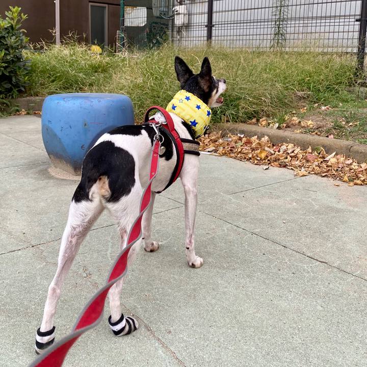 1c52cf47 f1cd 4592 9de0 5b4b41e81538 1597278619647