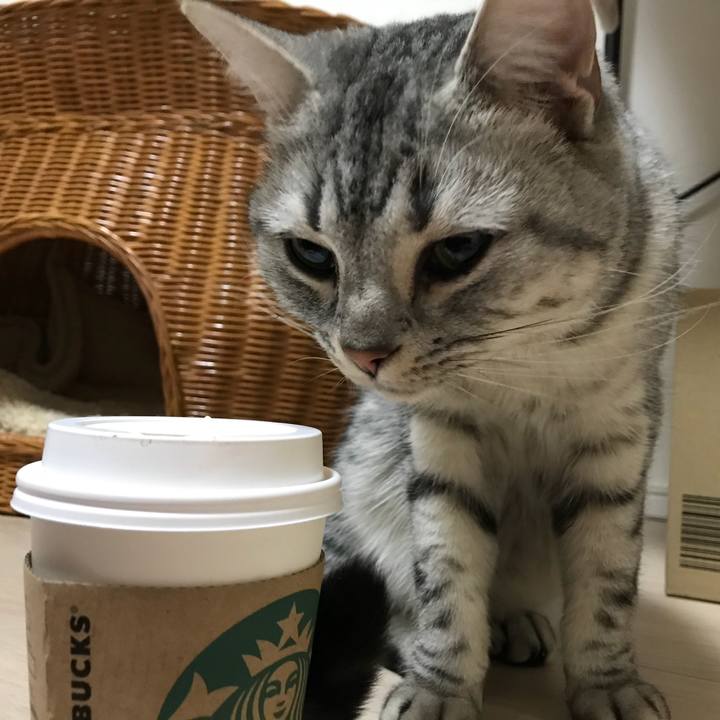 1c531a30 f9ce 4b2b 8877 6fb4608e608c 1513487070645