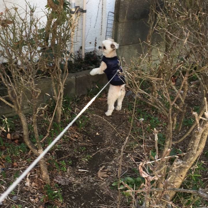 1c5349ef e6ef 4b5b 8807 834d8eb7b1ca 1550900572565