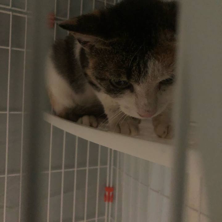 1c535309 eca8 46ce ae16 d05fe87646b7 1569765286842