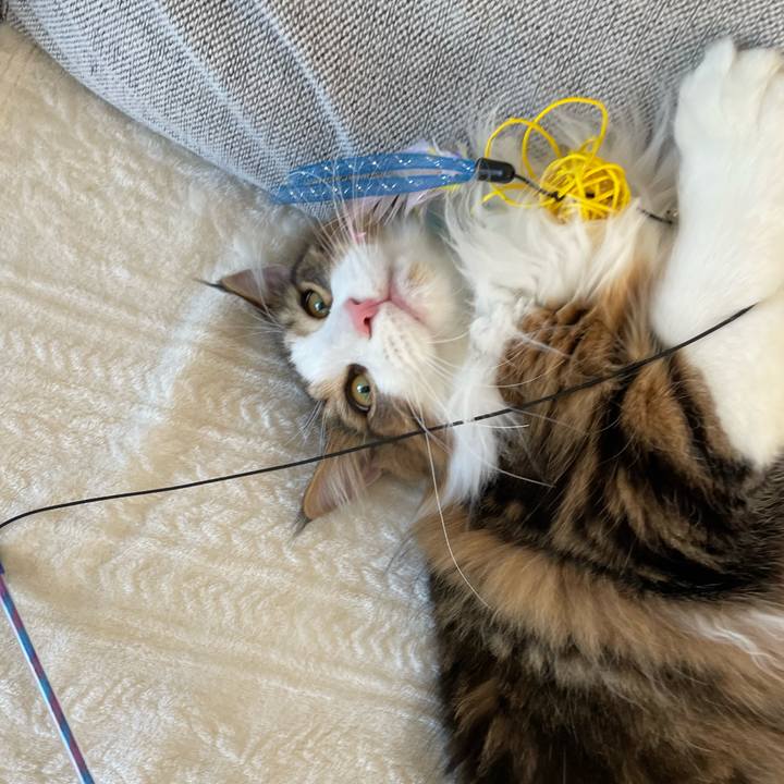 1c535b71 88e0 47a3 a184 0a75ff9b3dec 1652134014033