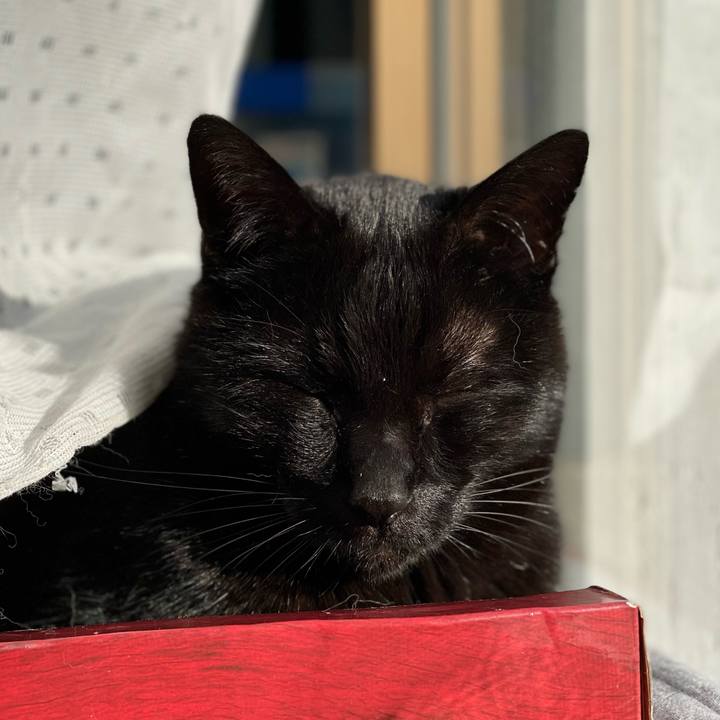 1c53637c f06c 474d 96da 45165642ed67 1645150519912