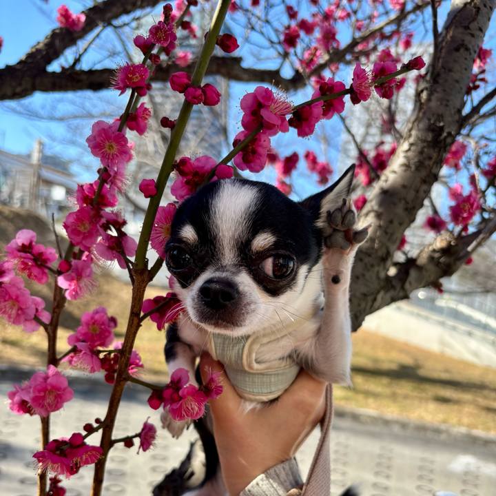 1c536575 4c25 45b4 8744 8a177f2fc01b 1769223967941