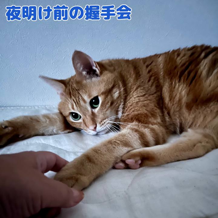 1c5395e8 52e4 4044 8d42 165ef53791ae 1724276692640