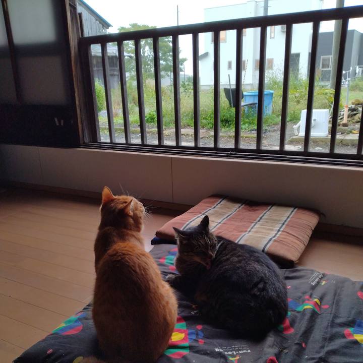 1c541744 a7e6 41b8 8a62 86fe93505621 1664064092321