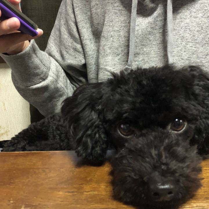 1c549453 b7bf 4f58 9f3f a714bee53d7c 1516110780355