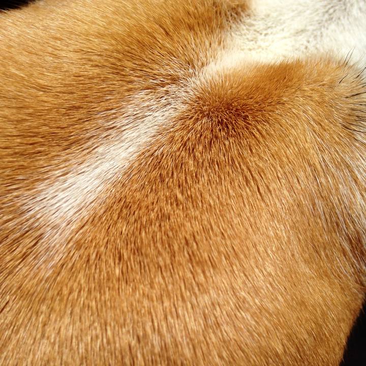 1c54c139 e1b5 44c5 af41 dbd2d37bf2fa 1747445819507